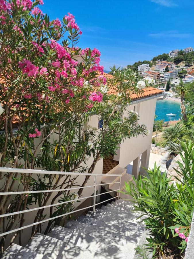 Apartments Apartmani Pintar Мимице Экстерьер фото