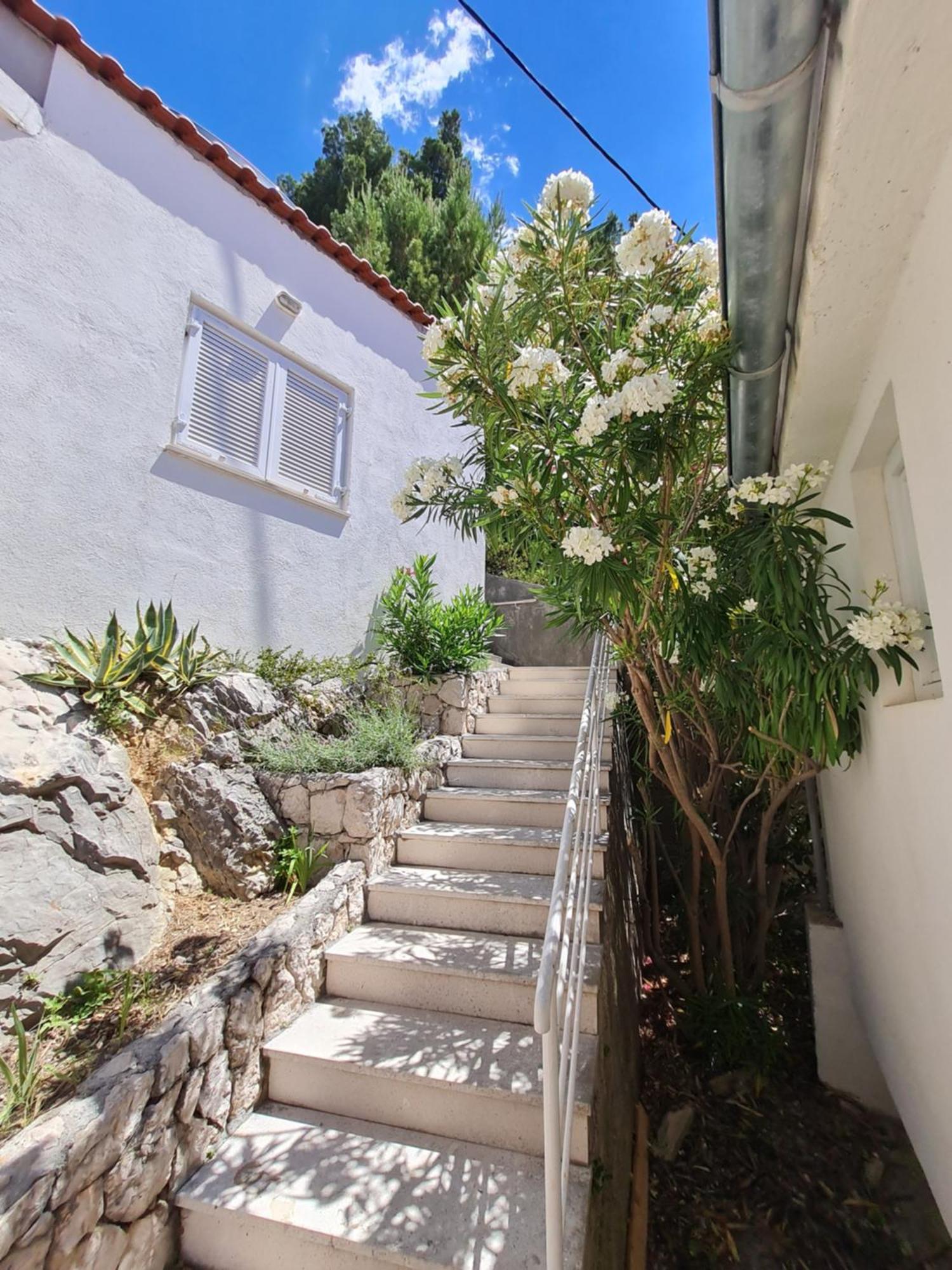 Apartments Apartmani Pintar Мимице Экстерьер фото
